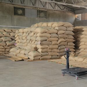 Alo, Ethiopia green coffee beans – natural G1