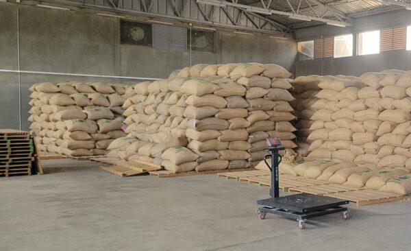 Alo, Ethiopia green coffee beans – natural G1